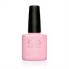 SMALTO SEMIPERMANENTE SHELLAC Candied